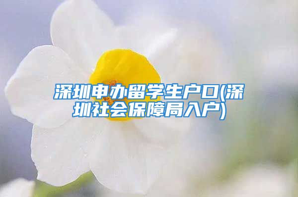 深圳申办留学生户口(深圳社会保障局入户)