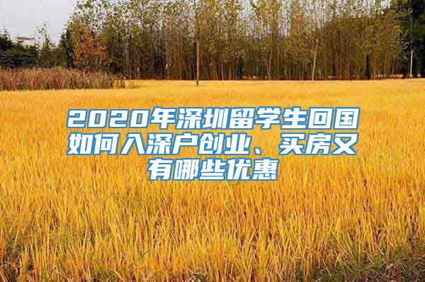 2020年深圳留学生回国如何入深户创业、买房又有哪些优惠