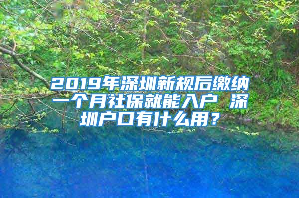 2019年深圳新规后缴纳一个月社保就能入户 深圳户口有什么用？