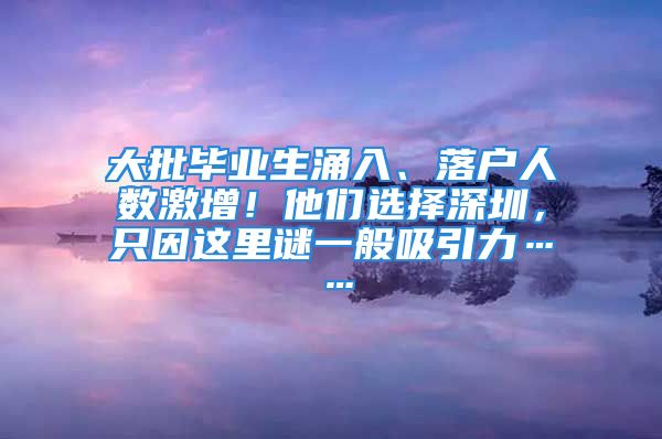 大批毕业生涌入、落户人数激增！他们选择深圳，只因这里谜一般吸引力……