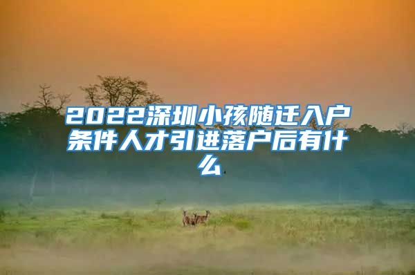 2022深圳小孩随迁入户条件人才引进落户后有什么