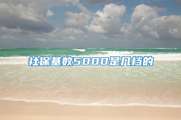 社保基数5000是几档的