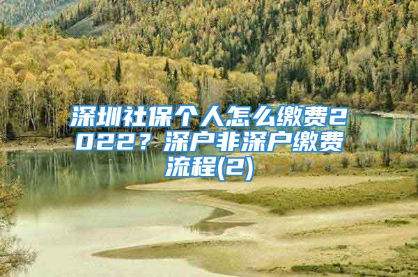 深圳社保个人怎么缴费2022？深户非深户缴费流程(2)