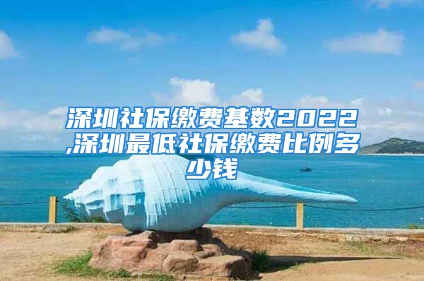 深圳社保缴费基数2022,深圳最低社保缴费比例多少钱