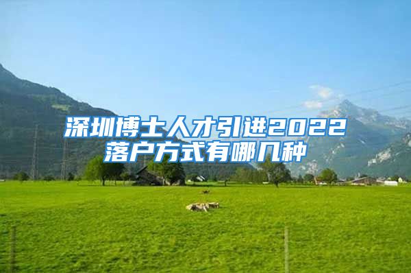 深圳博士人才引进2022落户方式有哪几种