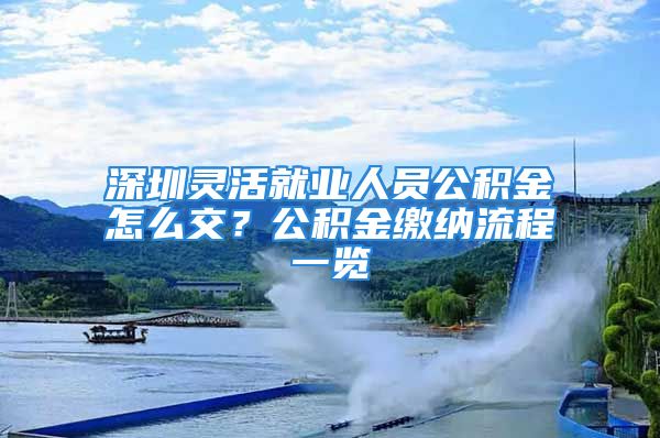 深圳灵活就业人员公积金怎么交？公积金缴纳流程一览