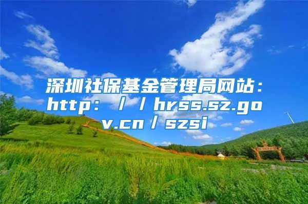 深圳社保基金管理局网站：http：／／hrss.sz.gov.cn／szsi