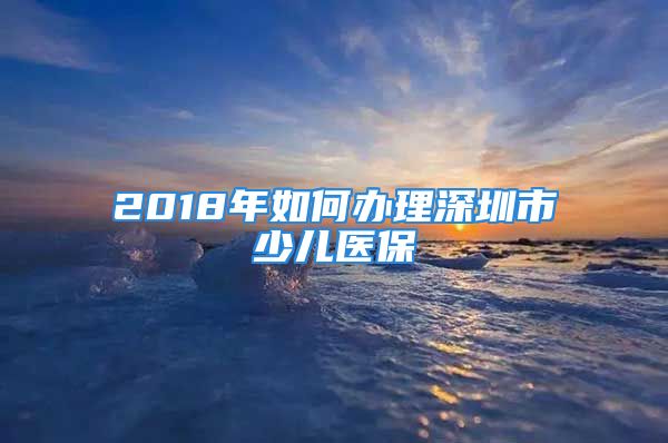 2018年如何办理深圳市少儿医保