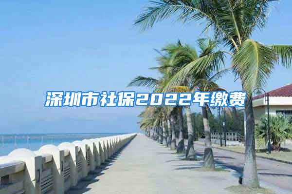 深圳市社保2022年缴费