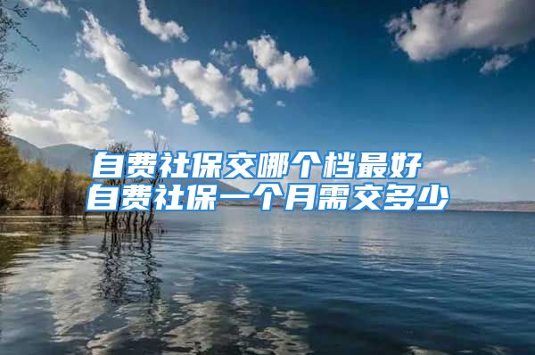 自费社保交哪个档最好 自费社保一个月需交多少