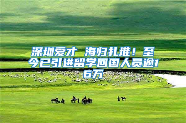 深圳爱才 海归扎堆！至今已引进留学回国人员逾16万