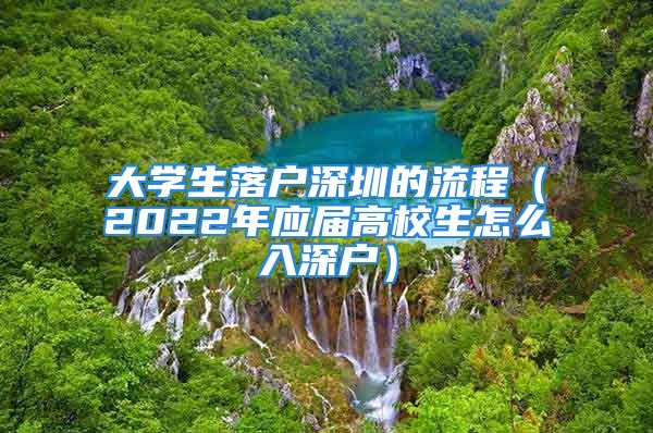 大学生落户深圳的流程（2022年应届高校生怎么入深户）