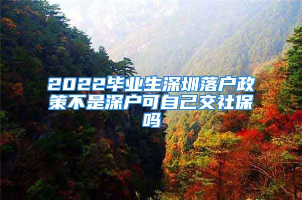 2022毕业生深圳落户政策不是深户可自己交社保吗