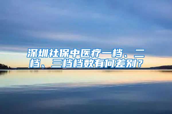 深圳社保中医疗一档、二档、三档档数有何差别？