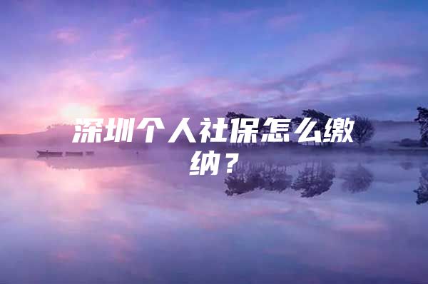 深圳个人社保怎么缴纳？