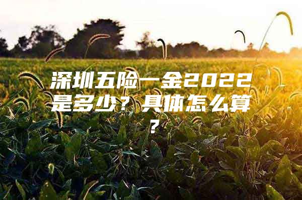 深圳五险一金2022是多少？具体怎么算？