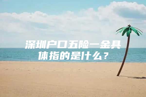 深圳户口五险一金具体指的是什么？