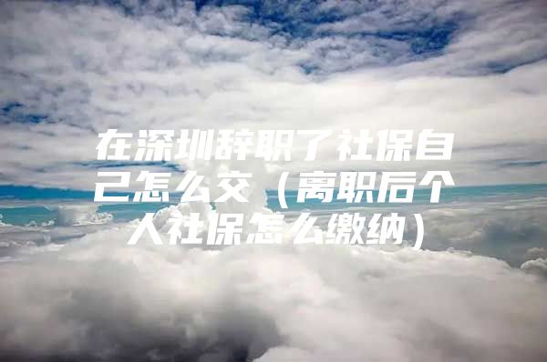 在深圳辞职了社保自己怎么交（离职后个人社保怎么缴纳）