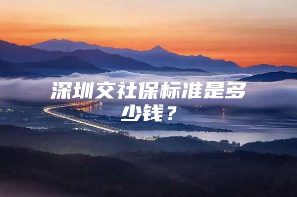 深圳交社保标准是多少钱？