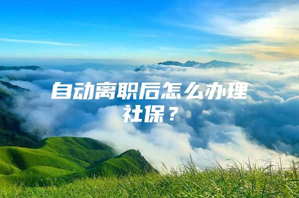 自动离职后怎么办理社保？