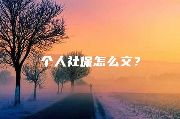 个人社保怎么交？