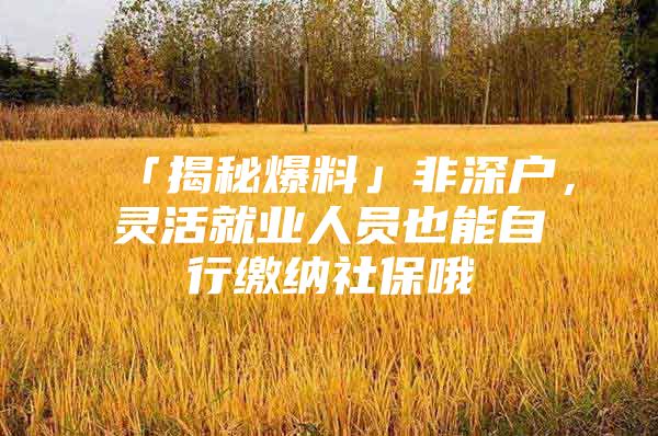 「揭秘爆料」非深户，灵活就业人员也能自行缴纳社保哦