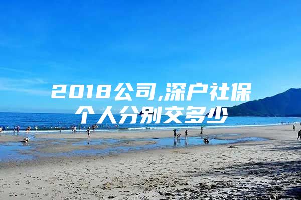 2018公司,深户社保个人分别交多少