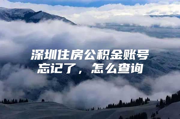 深圳住房公积金账号忘记了，怎么查询