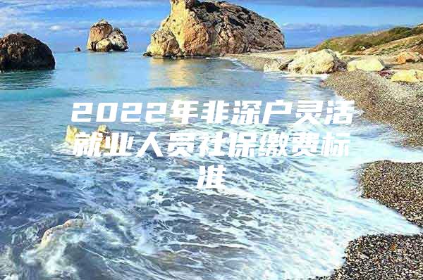 2022年非深户灵活就业人员社保缴费标准