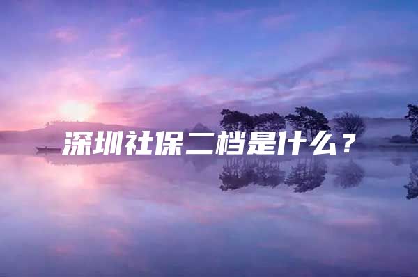 深圳社保二档是什么？