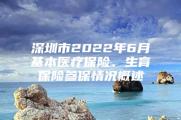 深圳市2022年6月基本医疗保险、生育保险参保情况概述