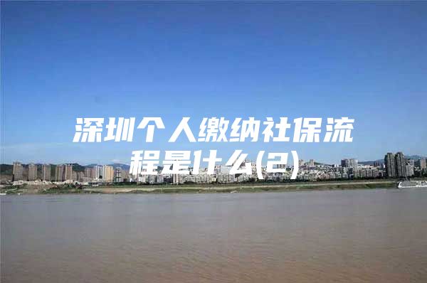 深圳个人缴纳社保流程是什么(2)