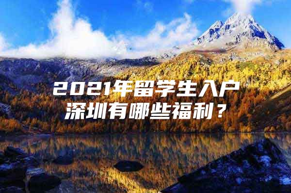 2021年留学生入户深圳有哪些福利？