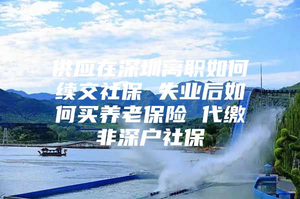 供应在深圳离职如何续交社保 失业后如何买养老保险 代缴非深户社保