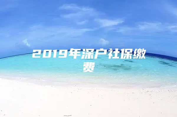 2019年深户社保缴费