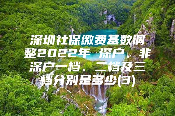 深圳社保缴费基数调整2022年 深户、非深户一档、二档及三档分别是多少(3)