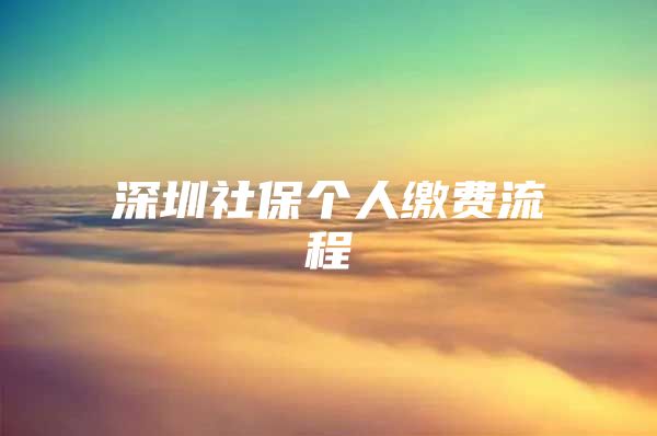 深圳社保个人缴费流程