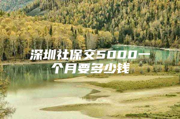 深圳社保交5000一个月要多少钱