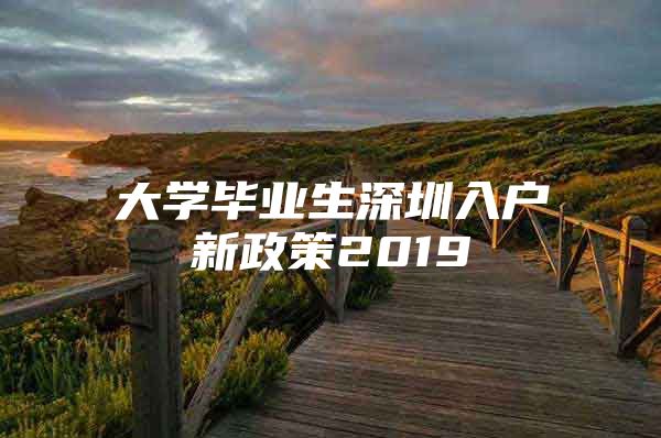 大学毕业生深圳入户新政策2019