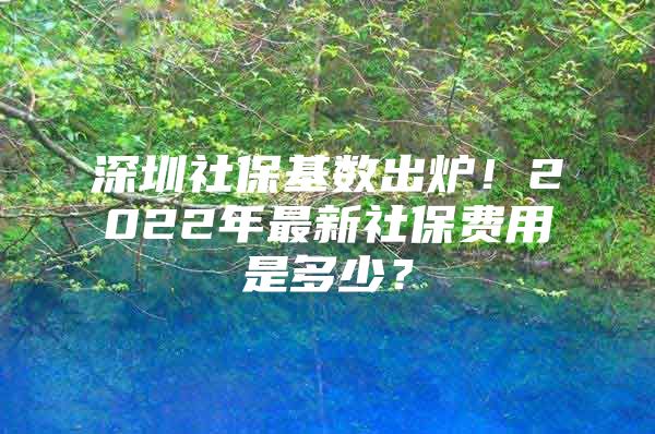 深圳社保基数出炉！2022年最新社保费用是多少？