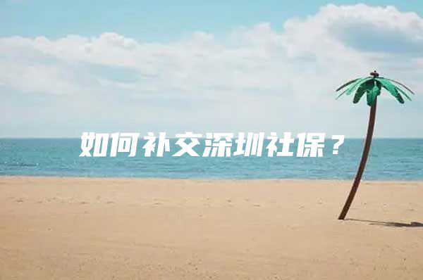 如何补交深圳社保？