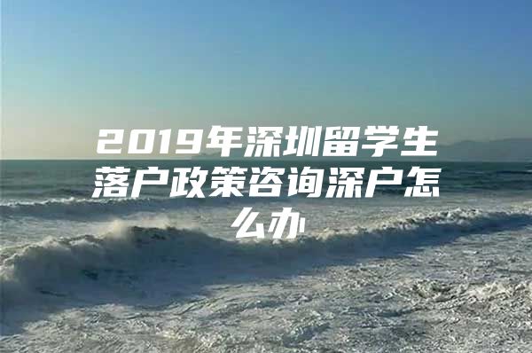 2019年深圳留学生落户政策咨询深户怎么办