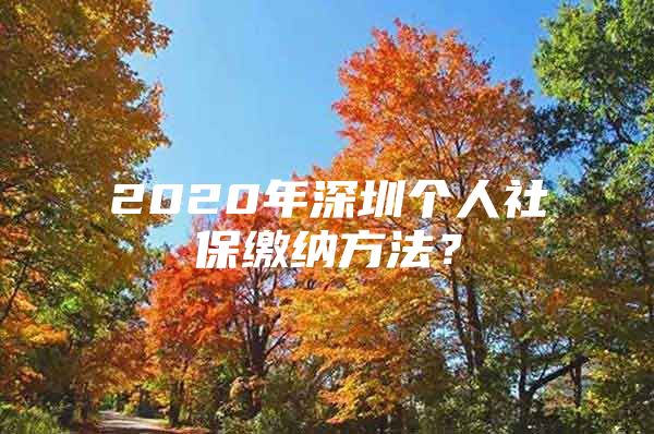 2020年深圳个人社保缴纳方法？