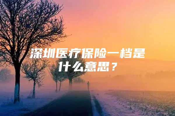 深圳医疗保险一档是什么意思？