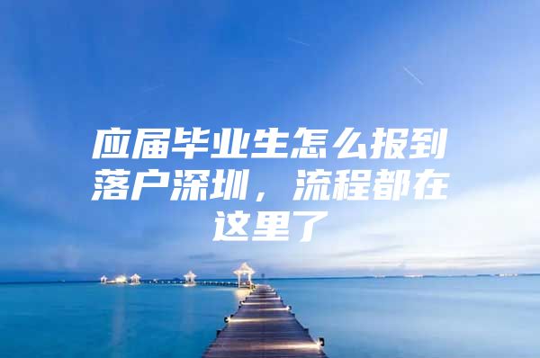 应届毕业生怎么报到落户深圳，流程都在这里了