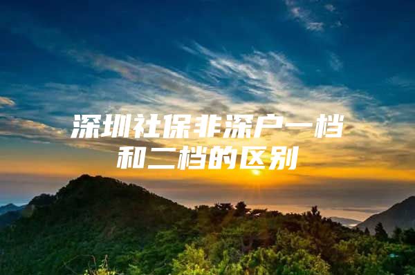 深圳社保非深户一档和二档的区别