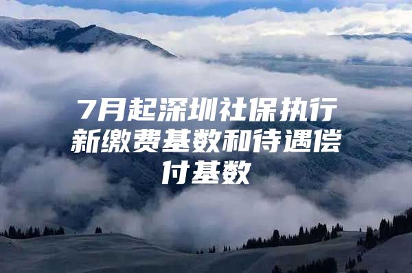 7月起深圳社保执行新缴费基数和待遇偿付基数