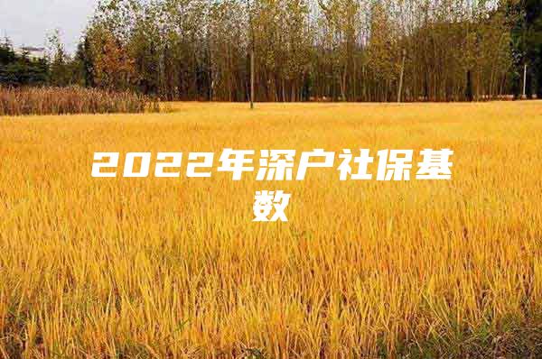 2022年深户社保基数