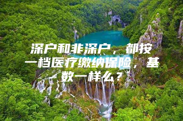 深户和非深户，都按一档医疗缴纳保险，基数一样么？