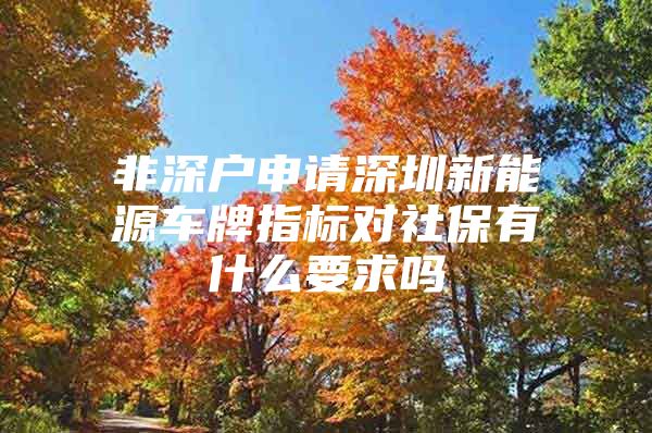 非深户申请深圳新能源车牌指标对社保有什么要求吗